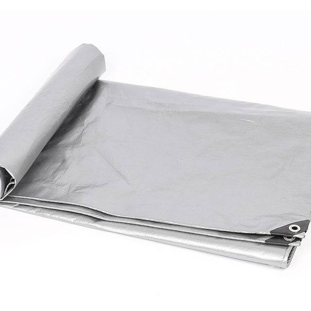 Tarpaulin Performance et portée de l'application