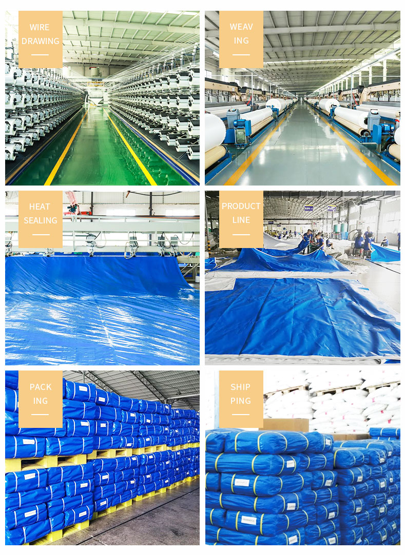 Entrep&ocirc;t, force