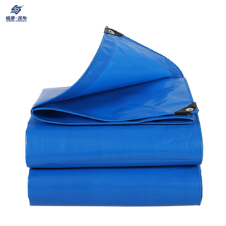 Tarpaulin en tarpaulin épais et bleu imperméable