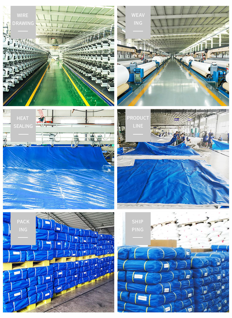 Entrep&ocirc;t, force