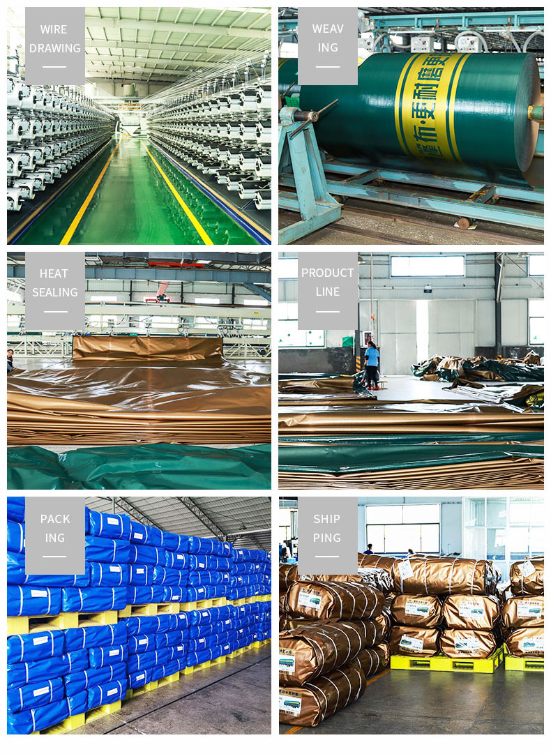 Entrep&ocirc;t, force