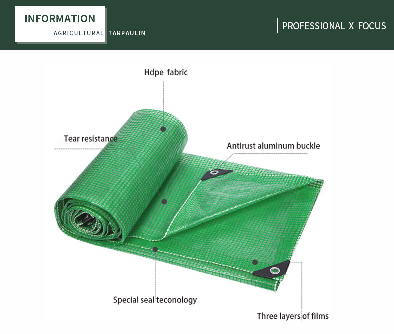 professionnel x focus