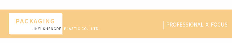 professionnel x focus