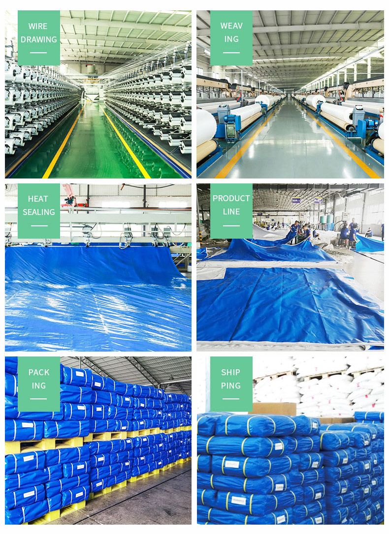 Entrep&ocirc;t, force