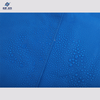 Tarpaulin en tarpaulin épais et bleu imperméable