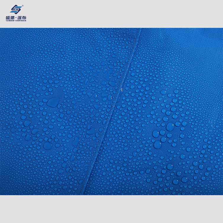 Tarpaulin en tarpaulin épais et bleu imperméable