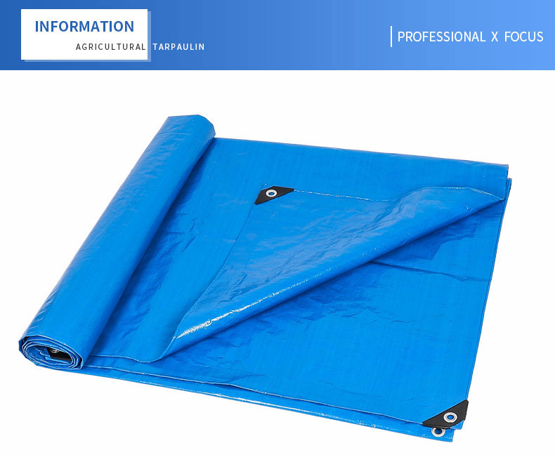 professionnel x focus