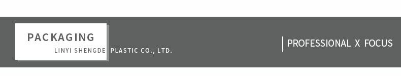 professionnel x focus