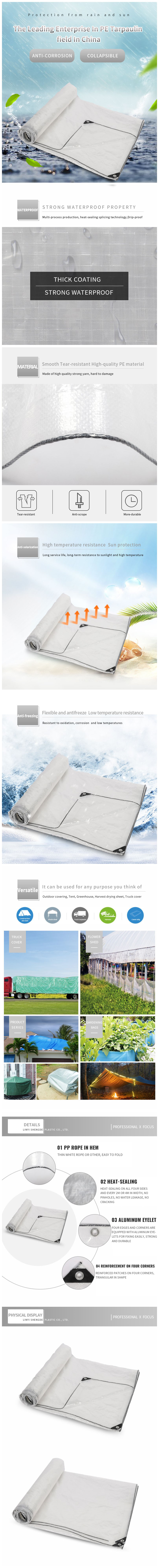 D&eacute;tails transparents PE PE