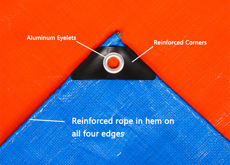 H91AF9E2C5BC74C329E0B61E1EB9E64C77