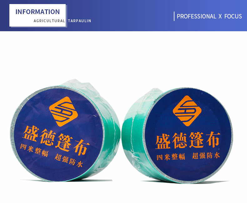 professionnel x focus