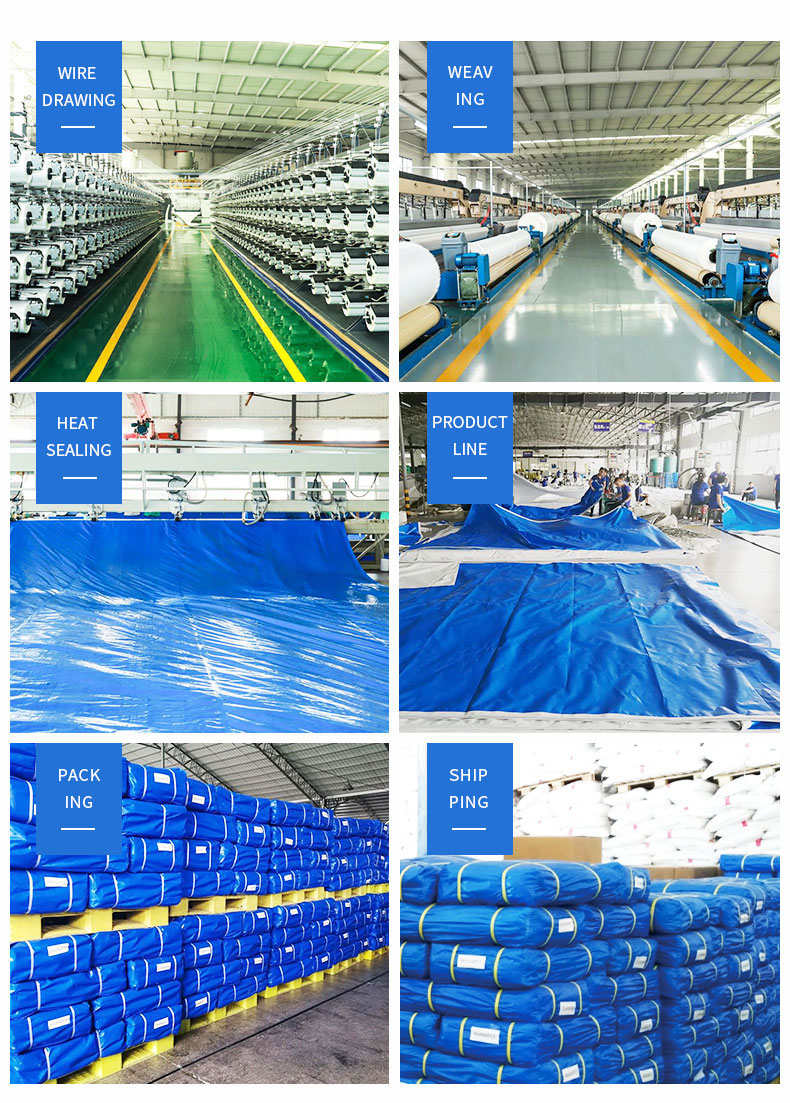 Entrep&ocirc;t, force