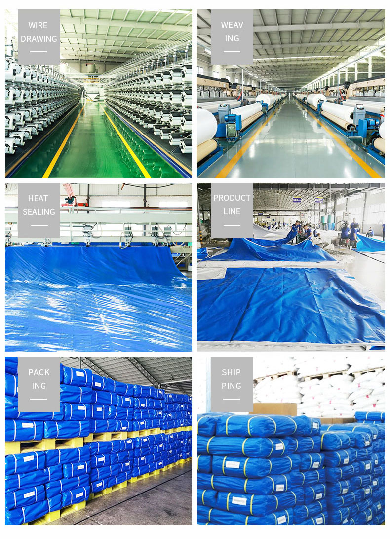 Entrep&ocirc;t, force