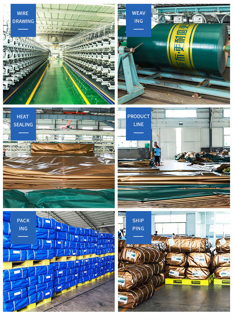 Entrep&ocirc;t, force