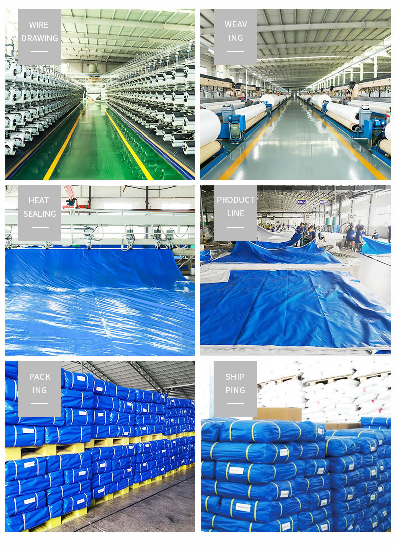 Entrep&ocirc;t, force