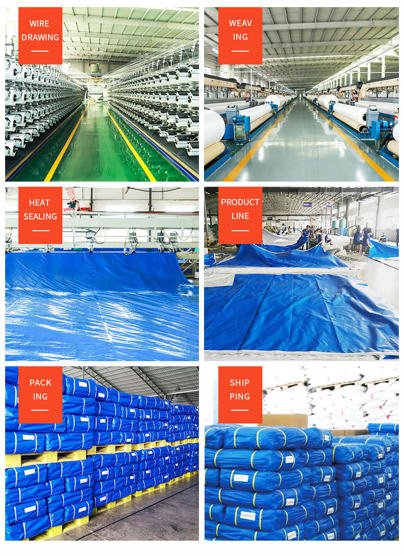 Entrep&ocirc;t, force