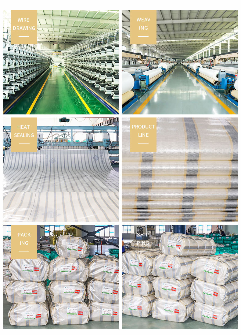 Entrep&ocirc;t, force