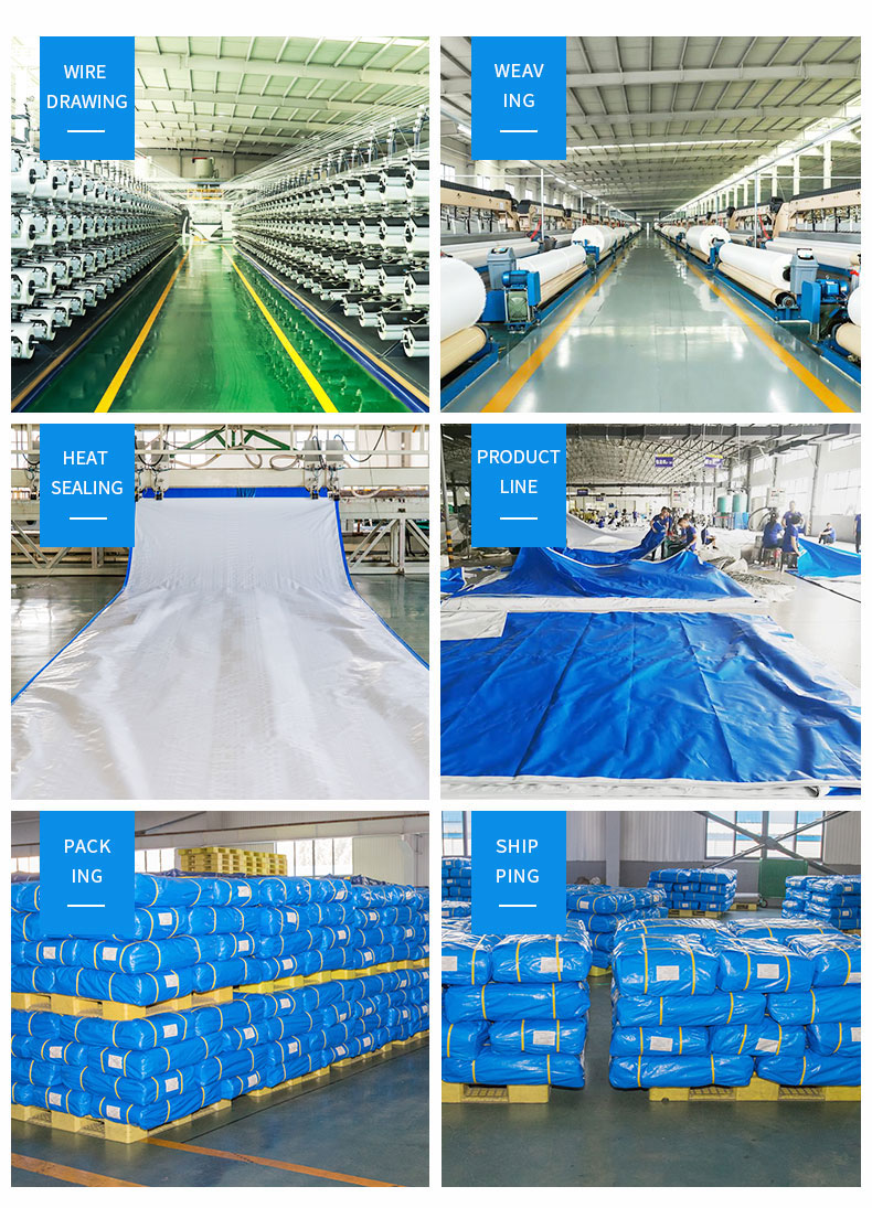 Entrep&ocirc;t, force