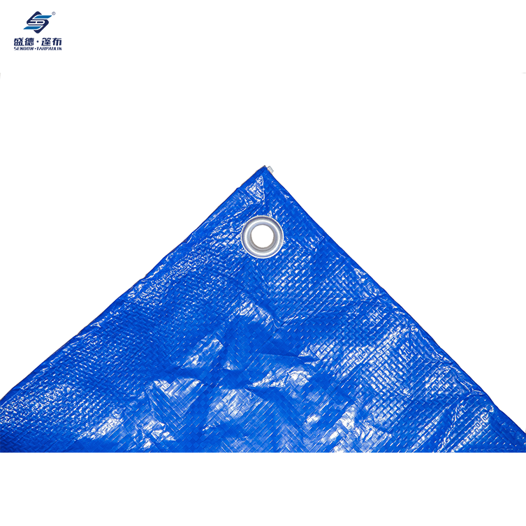 Tarpaulin en tarpaulin épais et bleu imperméable